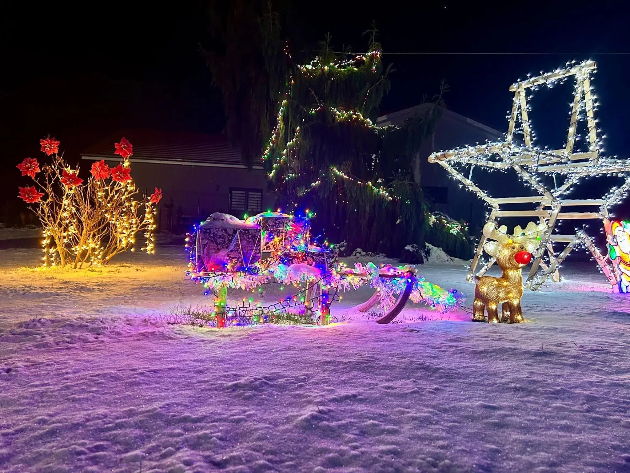 Le traîneau garni de guirlandes et le petit renne lumineux, dans le jardin sous la neige