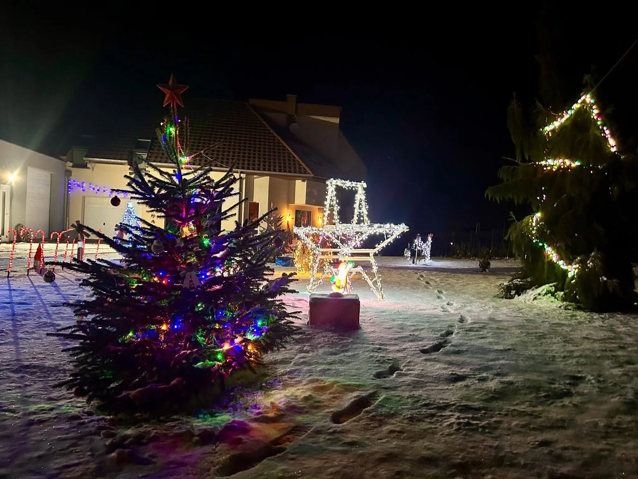Le sapin décoré, son étoile rouge à la cime, entre les illuminations du jardin enneigé